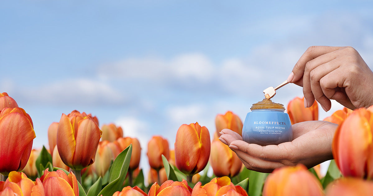 Royal Tulip Nectar
