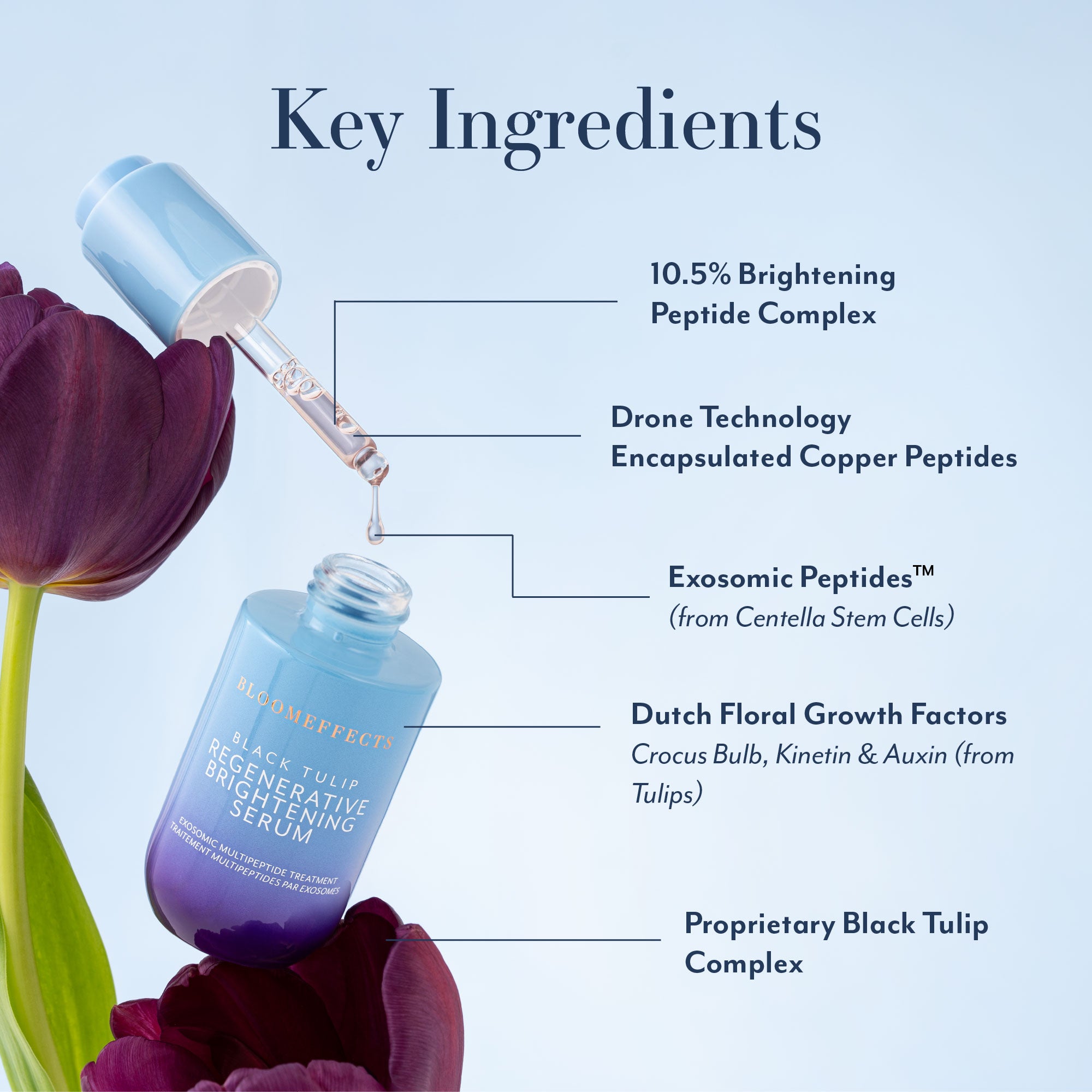 Key Ingredients
10.5% Brightening
Peptide Complex
Drone Technology
Encapsulated Copper Peptides
Exosomic Peptides™ (from Centella Stem Cells)
Dutch Floral Growth Factors
Crocus Bulb, Kinetin & Auxin (from Tulips)
Proprietary Black Tulip
Complex