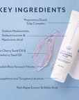 Key Ingredients for Bloomeffects Royal Tulip Cleansing Jelly. Features a product image of the cleansing jelly tube alongside visuals of the product texture. Key ingredients listed include: Proprietary Dutch Tulip Complex, Sodium Hyaluronate, Sodium Lactate & Hyaluronic Acid, Sour Cherry Seed Oil & Strawberry Seed Oil, Radish Root Ferment Filtrate, Tocopherol and Tocopheryl Acetate, and Red Algae Extract & Malic Acid. The background is a soft blue, with light design elements.