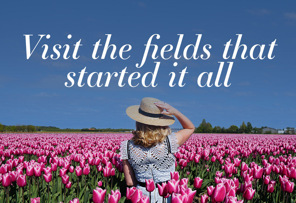 Visit the fields that started it all