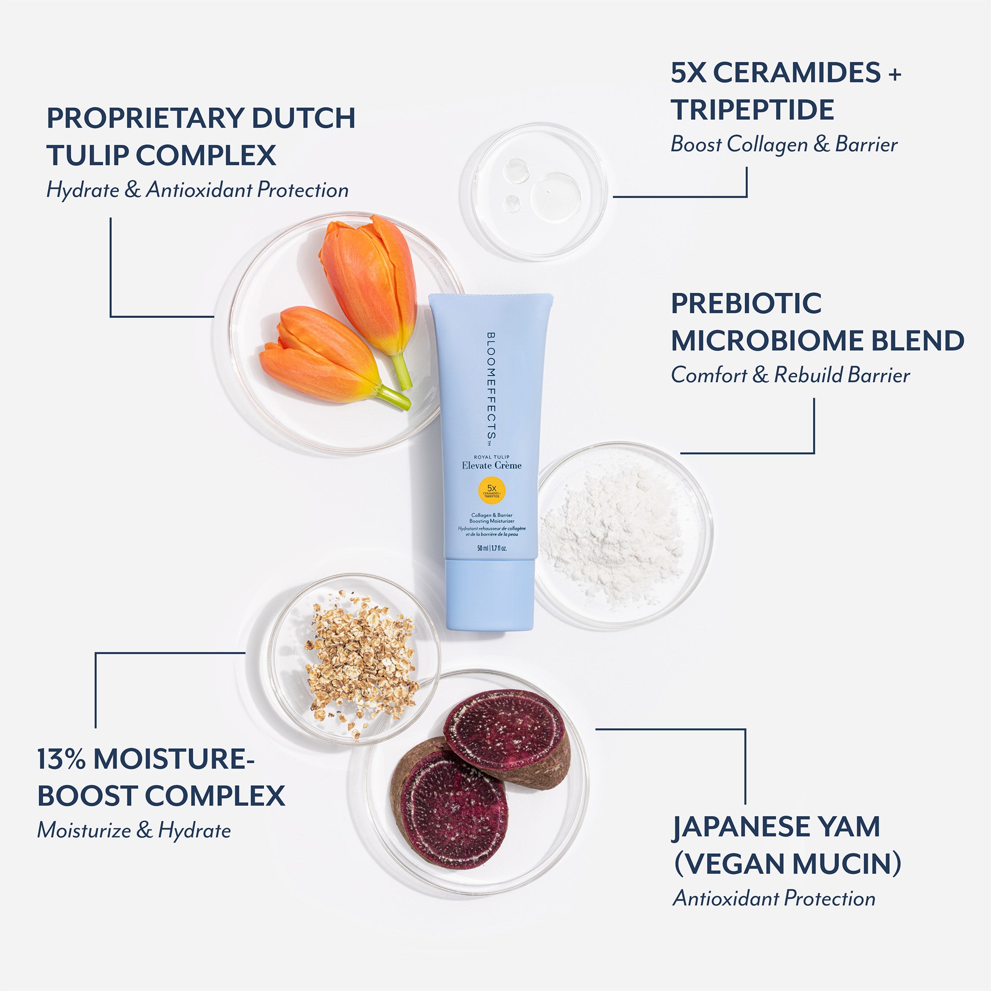 5X CERAMIDES +
TRIPEPTIDE
Boost Collagen &amp; Barrier, PROPRIETARY DUTCH
TULIP COMPLEX
Hydrate &amp; Antioxidant Protection, PREBIOTIC
MICROBIOME BLEND
Comfort &amp; Rebuild Barrier, 13% MOISTURE-BOOST COMPLEX
Moisturize &amp; Hydrate, JAPANESE YAM
(VEGAN MUCIN)
Antioxidant Protection