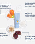 5X CERAMIDES +
TRIPEPTIDE
Boost Collagen & Barrier, PROPRIETARY DUTCH
TULIP COMPLEX
Hydrate & Antioxidant Protection, PREBIOTIC
MICROBIOME BLEND
Comfort & Rebuild Barrier, 13% MOISTURE-BOOST COMPLEX
Moisturize & Hydrate, JAPANESE YAM
(VEGAN MUCIN)
Antioxidant Protection