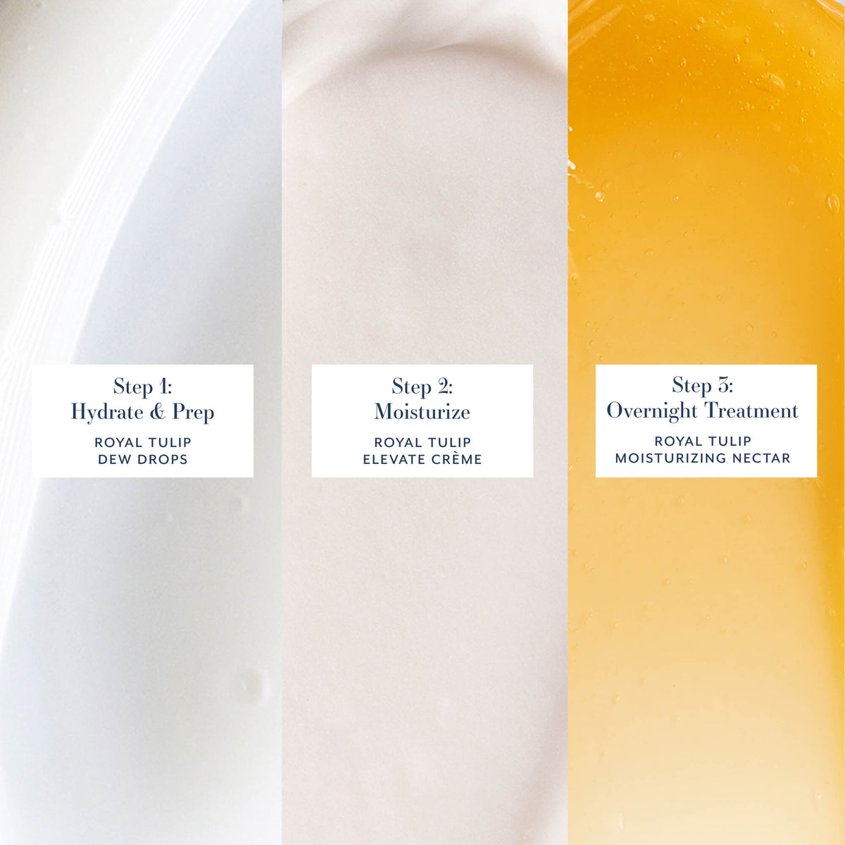 Step 1: Hydrate &amp; Prep. Royal Tulip Dew Drops. Step 2: Moisturize. Royal Tulip Elevate Crème. Step 3: Overnight Treatment. Royal Tulip Moisturizing Nectar.