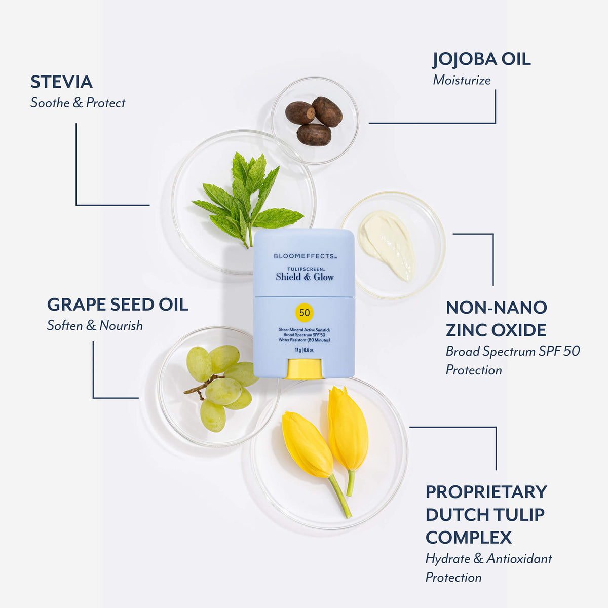 Bloomeffects Tulipscreen Shield &amp; Glow sunstick surrounded by key ingredients: stevia to soothe and protect, jojoba oil to moisturize, grape seed oil to soften and nourish, non-nano zinc oxide for Broad Spectrum SPF 50 protection, proprietary Dutch tulip complex to hydrate with antioxidant protection