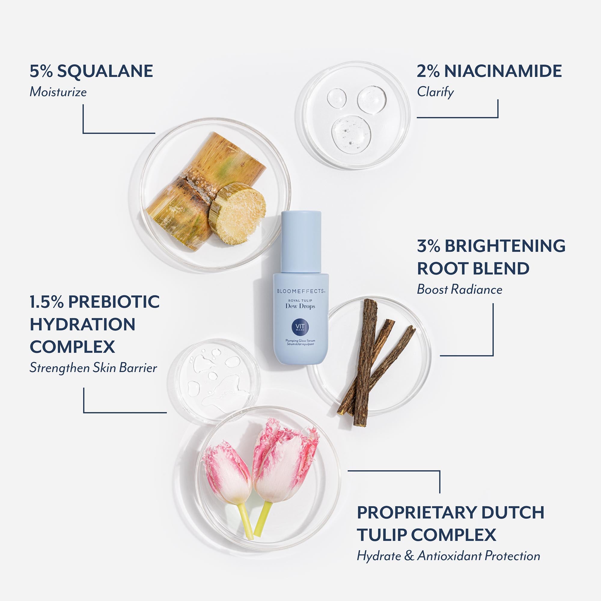 Bloomeffects serum bottle displayed with ingredient visuals including 5% squalane, 2% niacinamide, 3% brightening root blend, 1.5% prebiotic hydration complex, and proprietary Dutch tulip complex, highlighting moisturizing, clarifying, radiance-boosting, and barrier-strengthening benefits.
