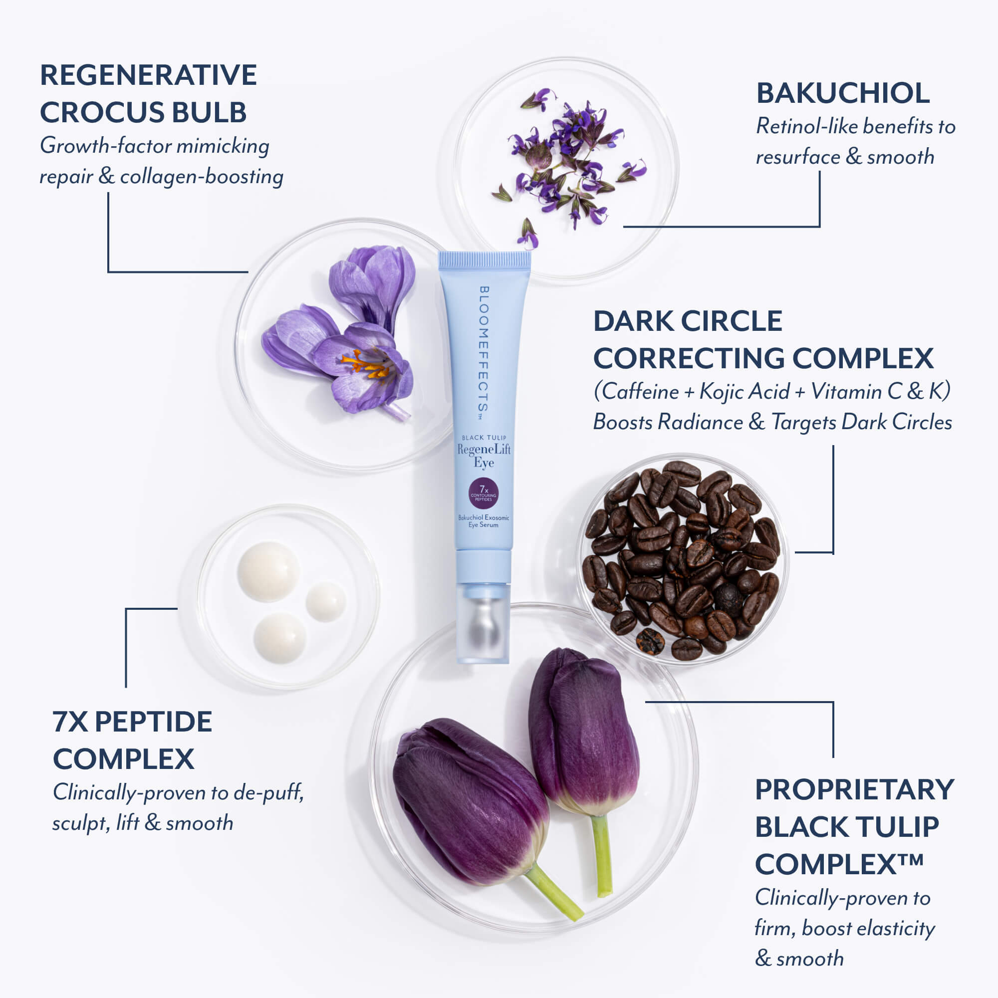 A skincare tube labeled BLOOMEFFECTS Regenerative Crocus Bulb sits in the center of a white infographic layout with ingredient callouts and photos of purple crocus flowers, black tulip powder, and dark coffee beans.