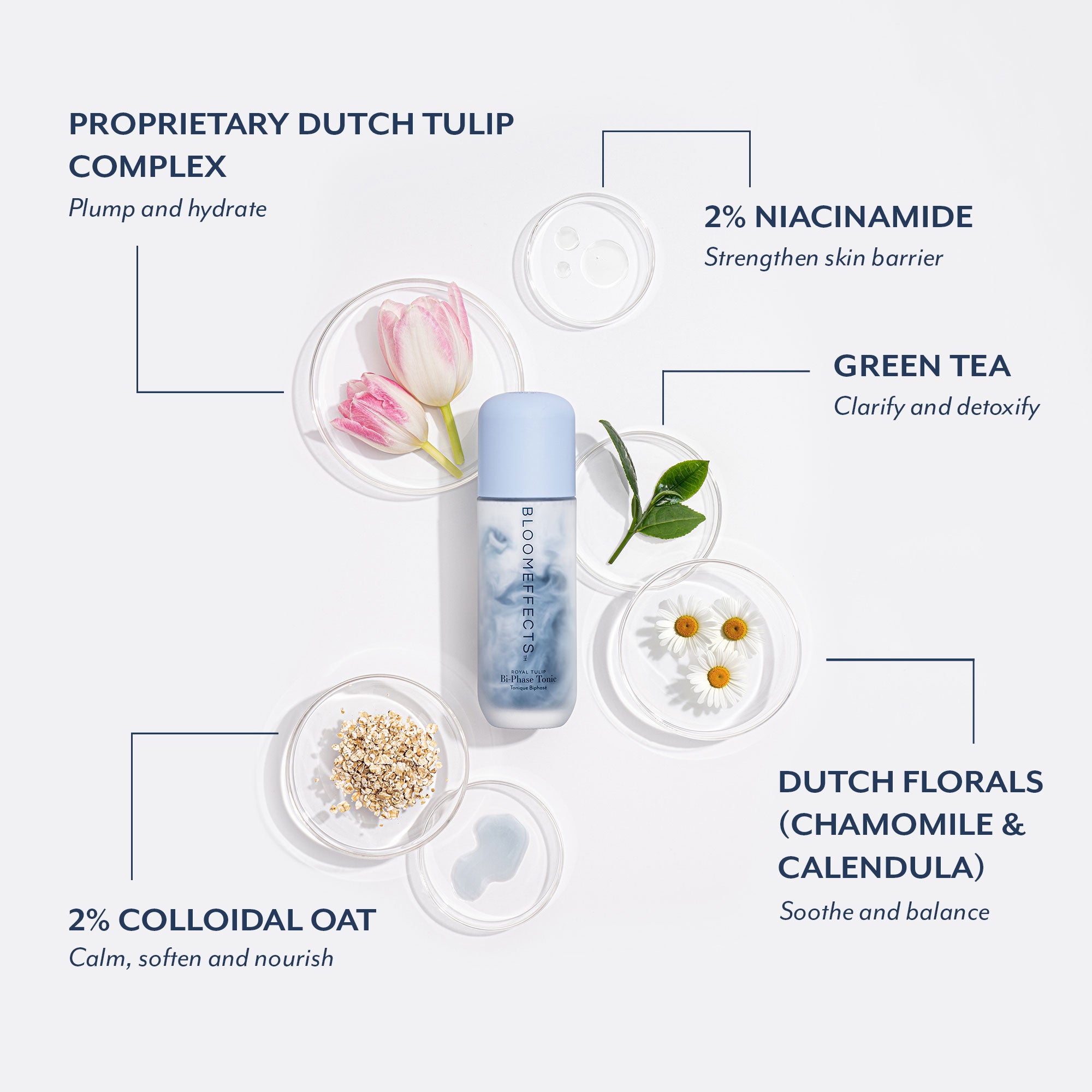 Infographic showing Bloomeffects Bi-Phase Tonic surrounded by its key ingredients: Dutch Tulip Complex, 2% Niacinamide, Green Tea leaves, Dutch florals including chamomile and calendula, and 2% colloidal oat. Labels describe benefits such as plumping and hydrating, strengthening the skin barrier, clarifying and detoxifying, soothing and balancing, and calming, softening, and nourishing.
