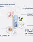 Infographic showing Bloomeffects Bi-Phase Tonic surrounded by its key ingredients: Dutch Tulip Complex, 2% Niacinamide, Green Tea leaves, Dutch florals including chamomile and calendula, and 2% colloidal oat. Labels describe benefits such as plumping and hydrating, strengthening the skin barrier, clarifying and detoxifying, soothing and balancing, and calming, softening, and nourishing.