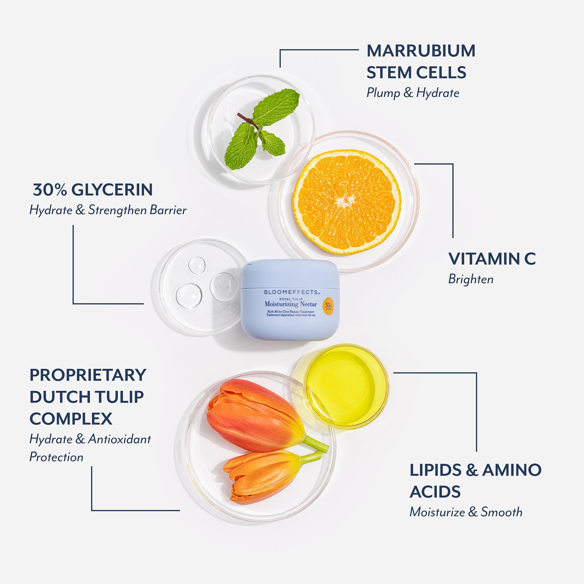 Bloomeffects Moisturizing Nectar jar displayed with ingredient visuals including 30% glycerin, marrubium stem cells, vitamin C, proprietary Dutch tulip complex, and lipids and amino acids, highlighting hydration, barrier support, brightening, and antioxidant protection benefits.
