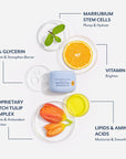 Bloomeffects Moisturizing Nectar jar displayed with ingredient visuals including 30% glycerin, marrubium stem cells, vitamin C, proprietary Dutch tulip complex, and lipids and amino acids, highlighting hydration, barrier support, brightening, and antioxidant protection benefits.
