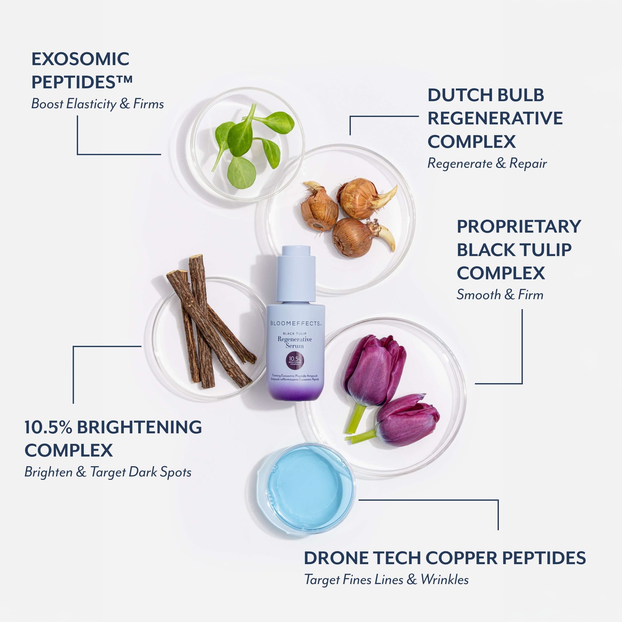 Infographic showing Bloomeffects Black Tulip Regenerative Serum surrounded by ingredient callouts: Exosomic Peptides to boost elasticity and firmness, Dutch Bulb Regenerative Complex to regenerate and repair, Proprietary Black Tulip Complex to smooth and firm, 10.5% Brightening Complex to brighten and target dark spots, and Drone Tech Copper Peptides to target fine lines and wrinkles.