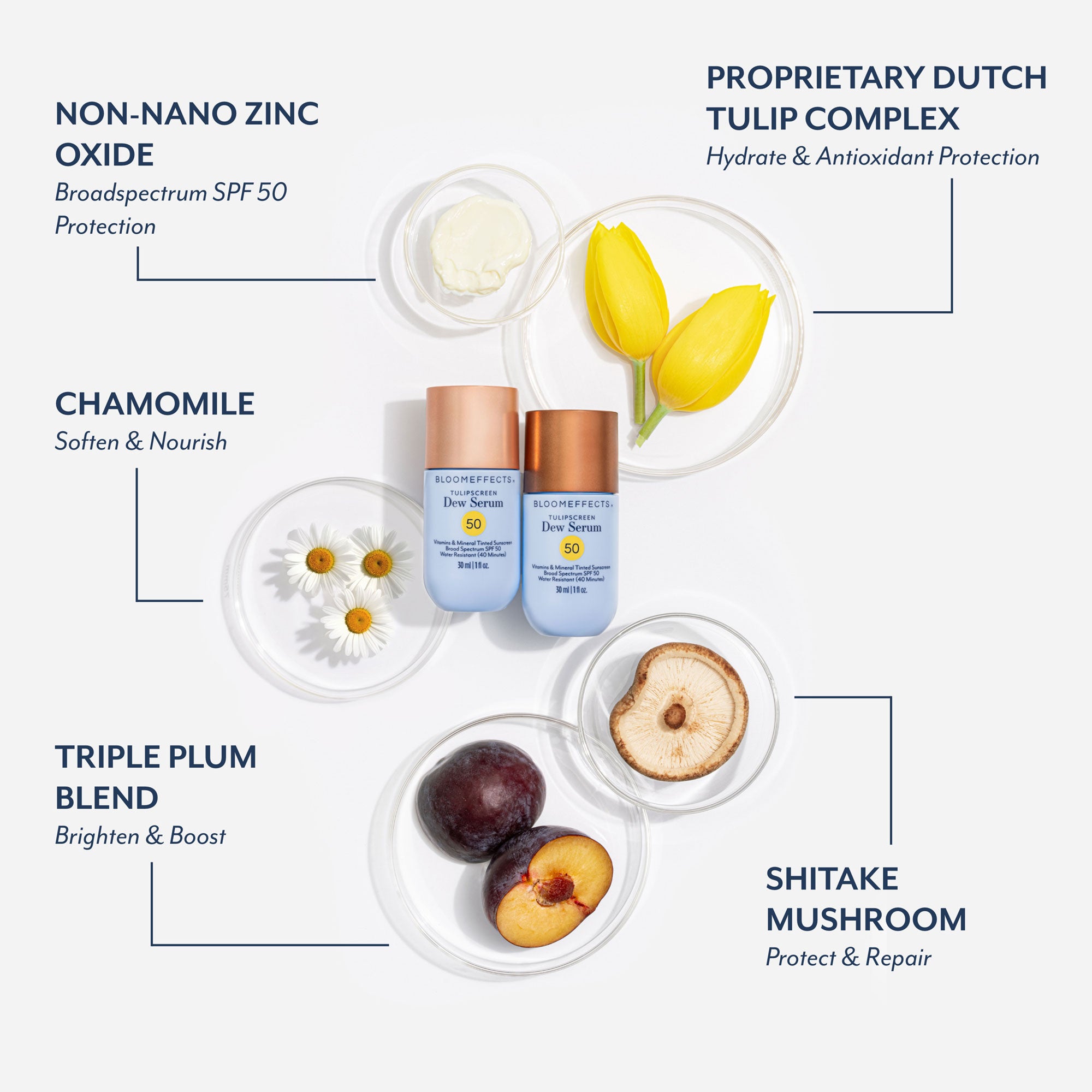 Bloomeffects SPF 50 sunscreen bottles displayed with ingredient visuals including non-nano zinc oxide, proprietary Dutch tulip complex, chamomile, triple plum blend, and shiitake mushroom, highlighting broad spectrum SPF 50 protection, hydration, brightening, and antioxidant benefits.
