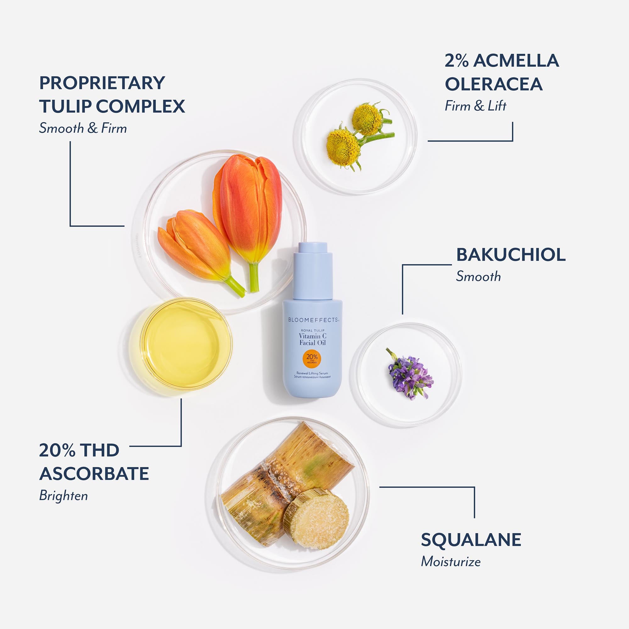 Bloomeffects Vitamin C serum bottle displayed with ingredient visuals including proprietary Dutch tulip complex, 2% acmella oleracea, bakuchiol, 20% THD ascorbate, and squalane, highlighting smoothing, firming, brightening, and moisturizing benefits.
