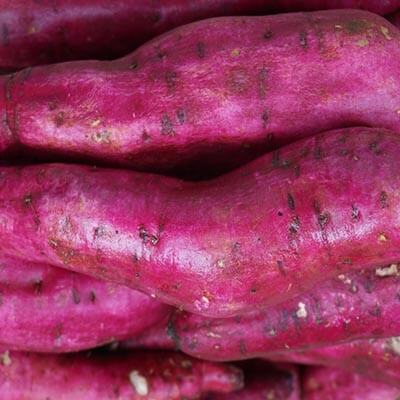 Close-up of purple sweet potatoes with a focus on texture and color.