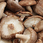 Close-up of sliced shiitake mushrooms
