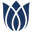 Bloomeffects Amsterdam logo